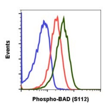 Monoclonal Anti-BAD (phospho S112) antibody produced in rabbit clone B9