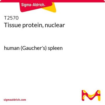 Tissue protein, nuclear human (Gaucher&#8242;s) spleen