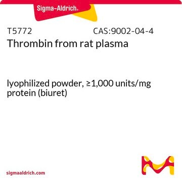 Thrombin from rat plasma lyophilized powder, &#8805;1,000&#160;units/mg protein (biuret)