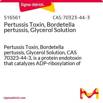 百日咳毒素，百日咳博代氏杆菌，丙三醇溶液 Pertussis Toxin, Bordetella pertussis, Glycerol Solution, CAS 70323-44-3, is a protein endotoxin that catalyzes ADP-ribosylation of guanine nucleotide-binding regulatory proteins.