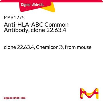 Wspólne przeciwciało anty-HLA-ABC, klon 22.63.4 clone 22.63.4, Chemicon&#174;, from mouse