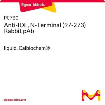 Anti-IDE, N-Terminal (97-273) Rabbit pAb liquid, Calbiochem&#174;