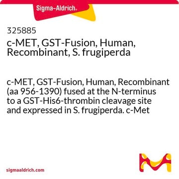 c-MET, fuzja GST, ludzki, rekombinowany, S. frugiperda c-MET, GST-Fusion, Human, Recombinant (aa 956-1390) fused at the N-terminus to a GST-His6-thrombin cleavage site and expressed in S. frugiperda. c-Met is a receptor tyrosine kinase activated by HGF.