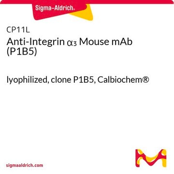 Anti-Integrin &#945;&#8323; Mouse mAb (P1B5) lyophilized, clone P1B5, Calbiochem&#174;