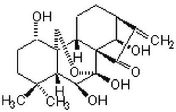 Oridonin, R. rubescens A cell-permeable diterpenoid compound that possesses anti NF-&#954;B activity and displays antiproliferative and antiangiogenic properties.