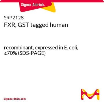 FXR, GST tagged human recombinant, expressed in E. coli, &#8805;70% (SDS-PAGE)