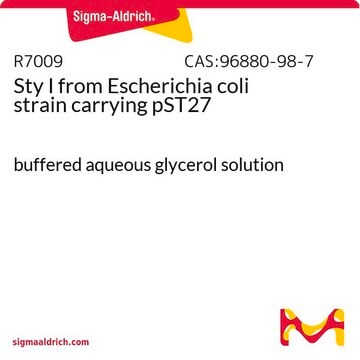 Sty I from Escherichia coli strain carrying pST27 buffered aqueous glycerol solution