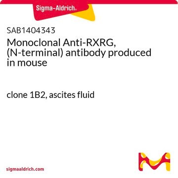 Monoclonal Anti-RXRG, (N-terminal) antibody produced in mouse clone 1B2, ascites fluid