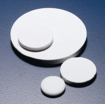 Pyrex&#174; Sintered glass filter disc nominal diameter 10&#160;mm, porosity grade 4