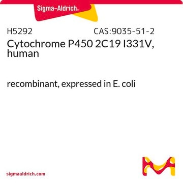 Cytochrome P450 2C19 I331V, human recombinant, expressed in E. coli