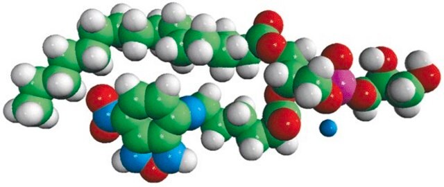 16:0-06:0 NBD PG Avanti Research&#8482; - A Croda Brand 810163P, powder