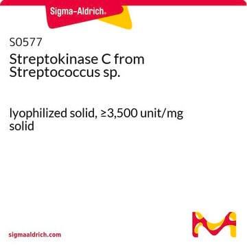 Streptokinase C from Streptococcus sp. lyophilized solid, &#8805;3,500&#160;unit/mg solid