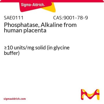 Phosphatase, Alkaline from human placenta &#8805;10&#160;units/mg solid (in glycine buffer)