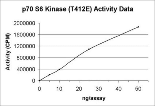 p70 S6 Kinase Protein, active, 10 &#181;g Active, N-terminal His6-tagged, recombinant amino acids 1-421 of human p70 S6 kinase, for use in Kinase Assays.