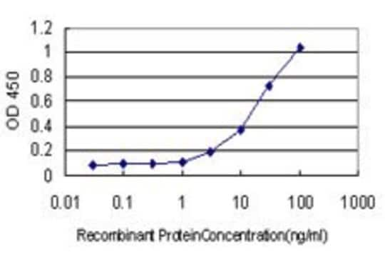 Monoclonal Anti-TP53BP1 antibody produced in mouse clone 1B9, purified immunoglobulin, buffered aqueous solution