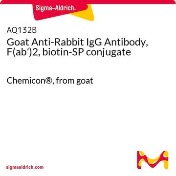 Goat Anti-Rabbit IgG Antibody, F(ab&#8242;)2, biotin-SP conjugate Chemicon&#174;, from goat