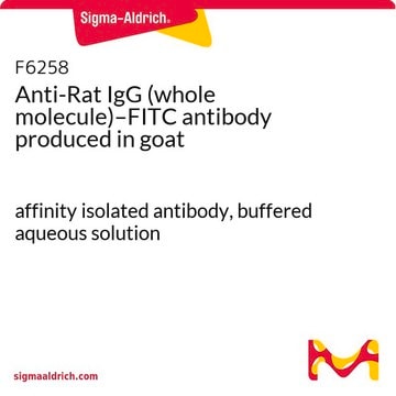 Anti-Rat IgG (whole molecule)–FITC antibody produced in goat affinity isolated antibody, buffered aqueous solution