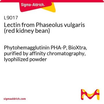 Lectina de Phaseolus vulgaris (frijol rojo) Phytohemagglutinin PHA-P, BioXtra, purified by affinity chromatography, lyophilized powder