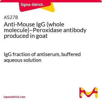 抗小鼠IgG（全分子）-过氧化物酶 山羊抗 IgG fraction of antiserum, buffered aqueous solution