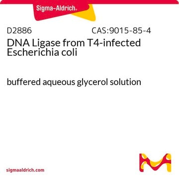 DNA Ligase from T4-infected Escherichia coli buffered aqueous glycerol solution