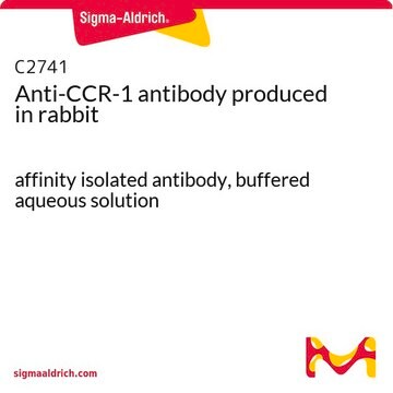 Anti-CCR-1 antibody produced in rabbit affinity isolated antibody, buffered aqueous solution