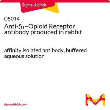 Anti-&#948;1&#8722;Opioid Receptor antibody produced in rabbit affinity isolated antibody, buffered aqueous solution