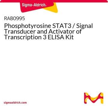 Phosphotyrosine STAT3 / Signal Transducer and Activator of Transcription 3 ELISA Kit