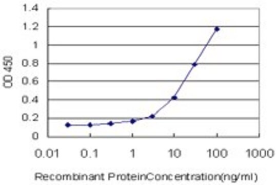 Monoclonal Anti-GDF3 antibody produced in mouse clone 2B10, purified immunoglobulin, buffered aqueous solution