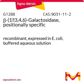 &#946;-(1&#8594;3,4,6)-Galactosidase, positionally specific recombinant, expressed in E. coli, buffered aqueous solution