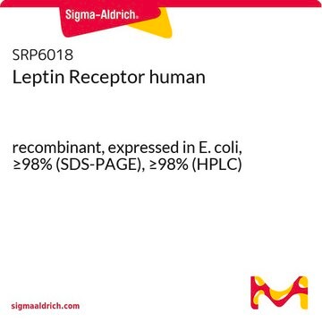 Leptin Receptor human recombinant, expressed in E. coli, &#8805;98% (SDS-PAGE), &#8805;98% (HPLC)