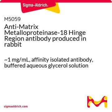 Anti-Matrix Metalloproteinase-18 Hinge Region antibody produced in rabbit ~1&#160;mg/mL, affinity isolated antibody, buffered aqueous glycerol solution