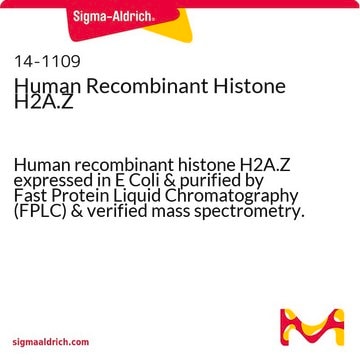 Human Recombinant Histone H2A.Z Human recombinant histone H2A.Z expressed in E Coli &amp; purified by Fast Protein Liquid Chromatography (FPLC) &amp; verified mass spectrometry.