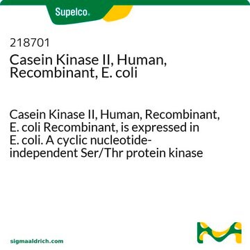 Casein-Kinase II, human, rekombinant, E. coli Casein Kinase II, Human, Recombinant, E. coli Recombinant, is expressed in E. coli. A cyclic nucleotide-independent Ser/Thr protein kinase composed of catalytic &#945;-subunits and regulatory &#946;-subunits.