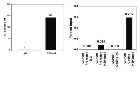 ChIPAb+ Monomethyl-Histone H3 (Lys9) - ChIP Validated Antibody and Primer Set clone CMA306, from mouse, purified by using protein G