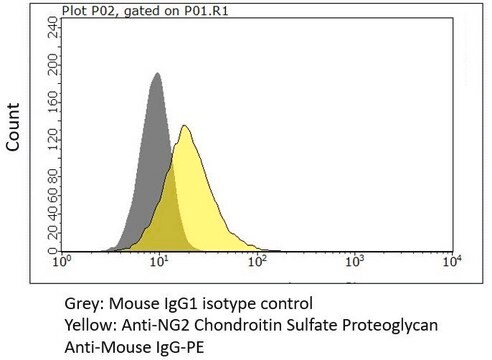 Anti-NG2 Chondroitin Sulfate Proteoglycan Antibody, clone 7.1