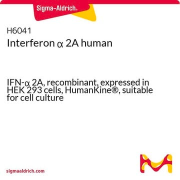 干扰素 &#945; 2A 人 IFN-&#945; 2A, recombinant, expressed in HEK 293 cells, HumanKine&#174;, suitable for cell culture