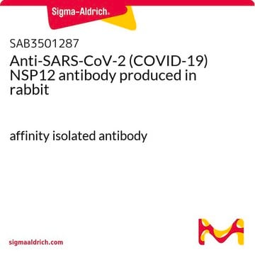 Anti-SARS-CoV-2 (COVID-19) NSP12 antibody produced in rabbit affinity isolated antibody