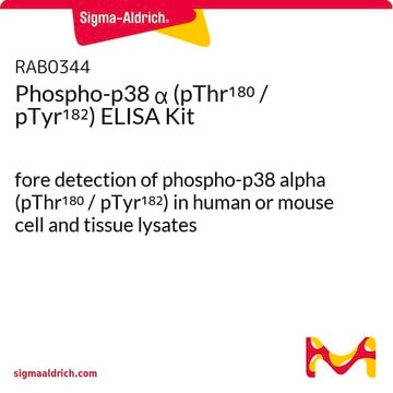 Phospho-p38 &#945; (pThr180 / pTyr182) ELISA Kit fore detection of phospho-p38 alpha (pThr180 / pTyr182) in human or mouse cell and tissue lysates