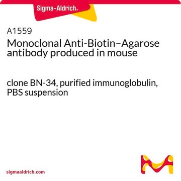 Monoclonal Anti-Biotin–Agarose antibody produced in mouse clone BN-34, purified immunoglobulin, PBS suspension