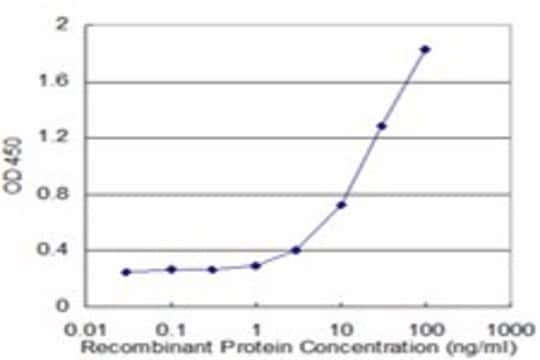 Monoclonal Anti-ALDH2 antibody produced in mouse clone 4C11, purified immunoglobulin, buffered aqueous solution