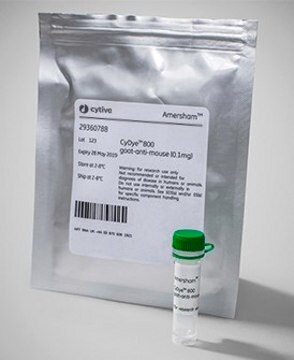 CyDye&#8482; NIR-labelled secondary antibody 700 nm, pkg of 0.1&#160;mg, Cytiva 29360786