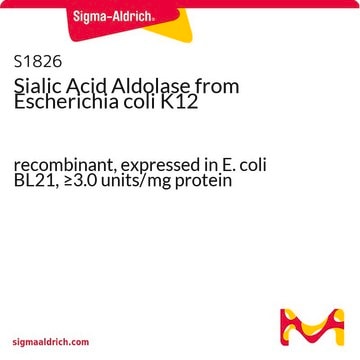 Sialic Acid Aldolase from Escherichia coli K12 recombinant, expressed in E. coli BL21, &#8805;3.0&#160;units/mg protein