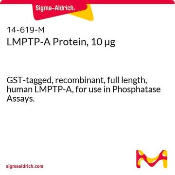 LMPTP-A Protein, 10 &#181;g GST-tagged, recombinant, full length, human LMPTP-A, for use in Phosphatase Assays.