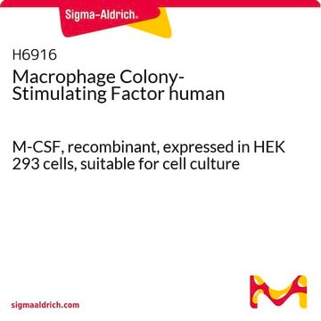 巨噬细胞集落刺激因子 人 M-CSF, recombinant, expressed in HEK 293 cells, suitable for cell culture