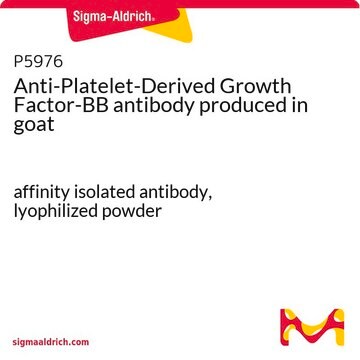 Anti-Platelet-Derived Growth Factor-BB antibody produced in goat affinity isolated antibody, lyophilized powder