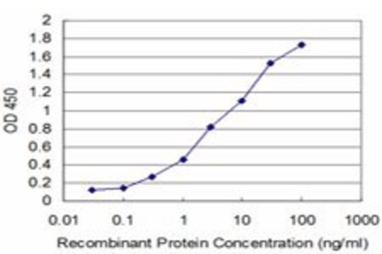 Monoclonal Anti-EXOSC2 antibody produced in mouse clone 4B6, purified immunoglobulin, buffered aqueous solution