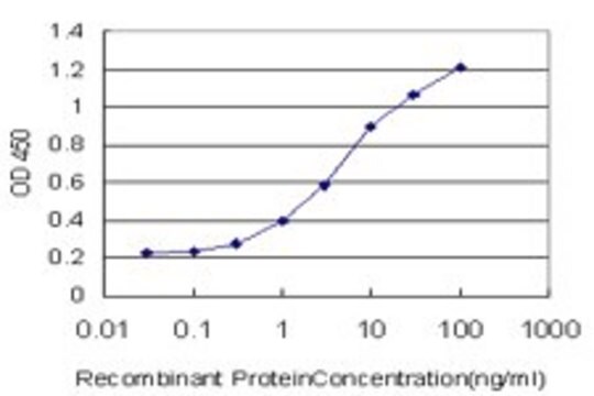 ANTI-ANXA10 antibody produced in mouse clone 3F12, purified immunoglobulin, buffered aqueous solution