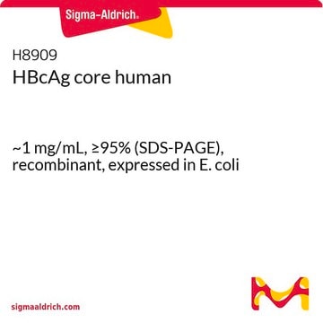 HBcAg 核心 人 ~1&#160;mg/mL, &#8805;95% (SDS-PAGE), recombinant, expressed in E. coli