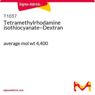 Tetramethylrhodamine isothiocyanate–Dextran average mol wt 4,400