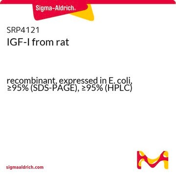 IGF-I from rat recombinant, expressed in E. coli, &#8805;95% (SDS-PAGE), &#8805;95% (HPLC)